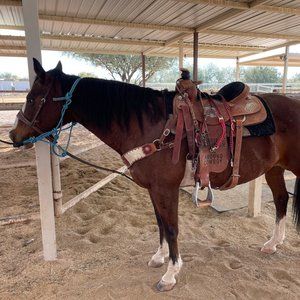 Meet your Posher, Evan